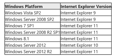 Internet Explorer support