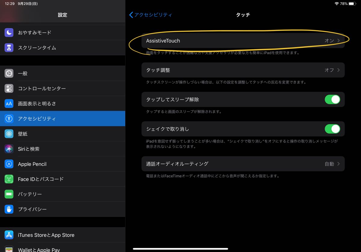 iPadOS mouse support - 5