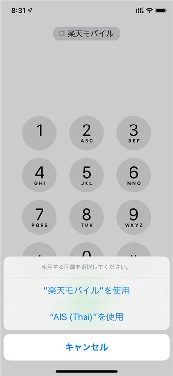 iPhone SE Dual SIM - 3